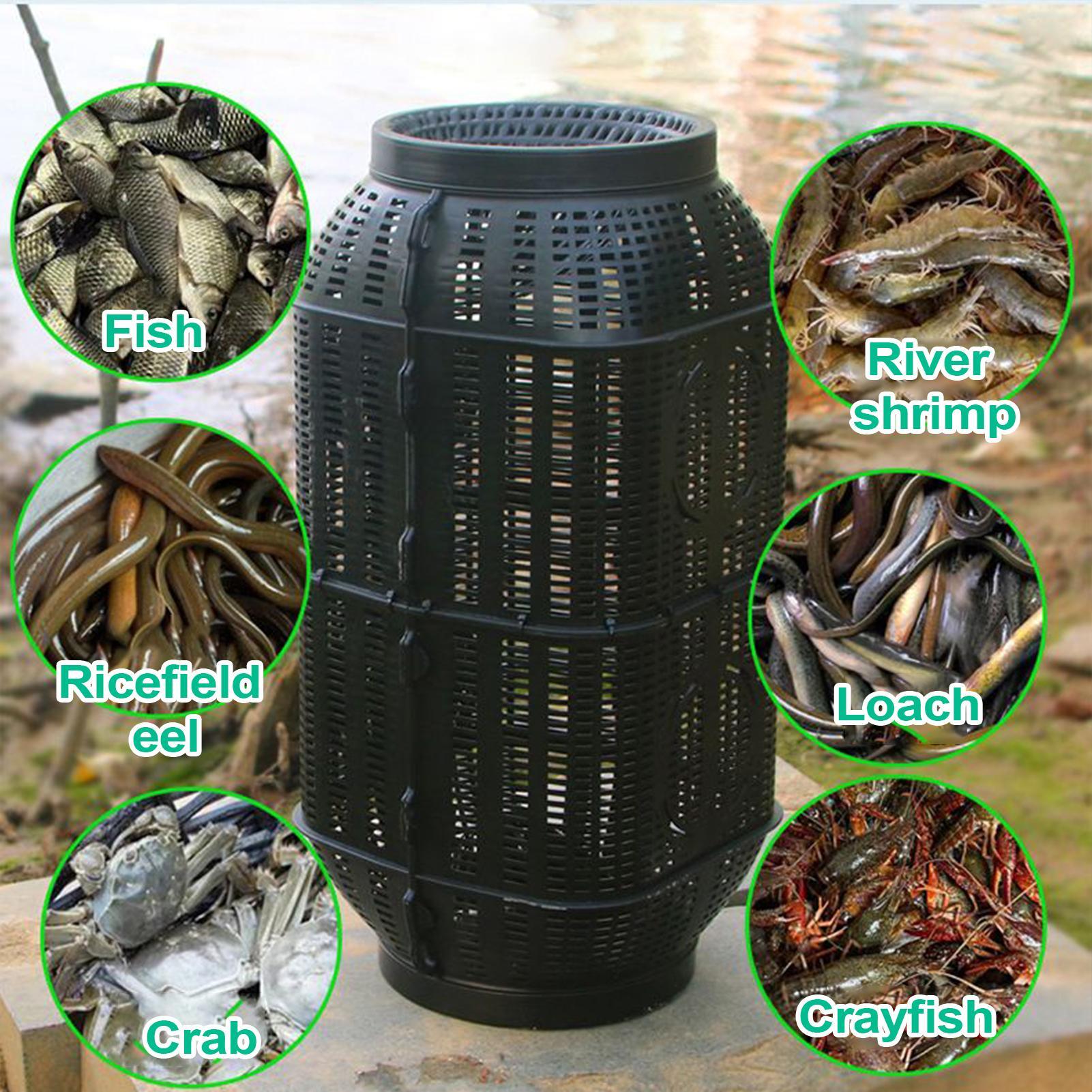 Portable Folding Minnow Fishin - Fishing Equipment Bait incelemesi ve fiyatı