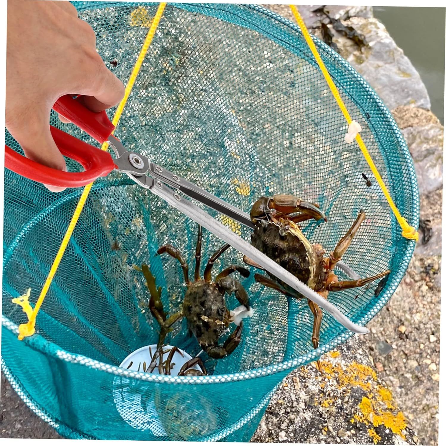 38/52cm Garbage Tongs Crab Cat - Fishing Pliers incelemesi ve fiyatı