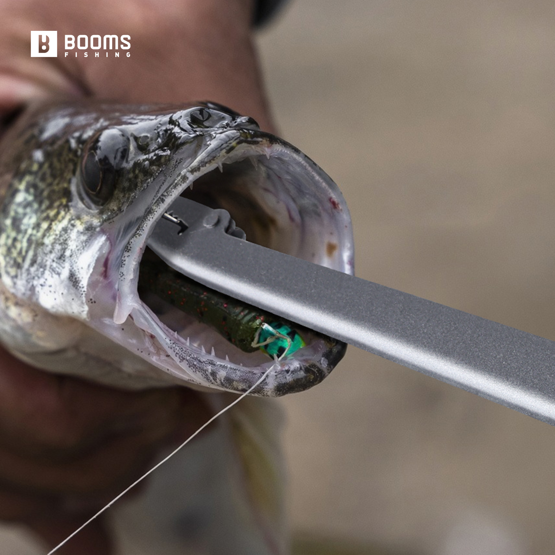 Booms Fishing 25cm Carbon Stee - Fishing Equipment Warehouse incelemesi ve fiyatı
